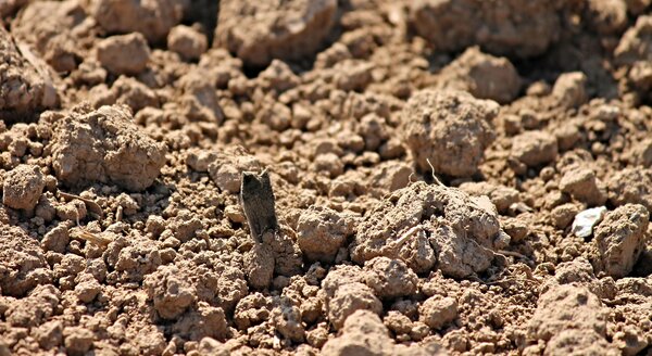 xrf-analysis of soils | © CRB Analyse Service GmbH