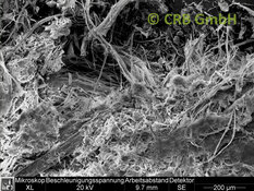 Amiante de chrysotile dans talc, image MEB | © CRB Analyse Service GmbH