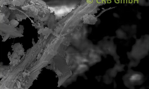 SEM-afbeelding chrysotiel asbest in venster stopverf | © CRB Analyse Service GmbH
